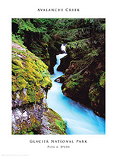 Avalanche Gorge poster