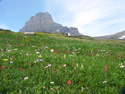 Logan Pass Photos