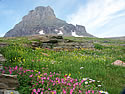 Logan Pass Photos