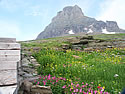 Logan Pass Photos