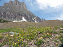 Logan Pass Photos