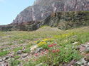 Logan Pass Photos