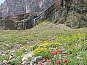 Logan Pass Photos