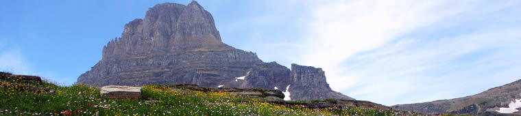 Logan Pass photo in Glacier National Park