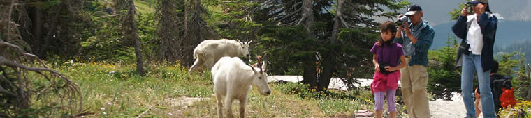 free screensaver of Glacier Park