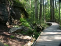 Trail of the Cedars